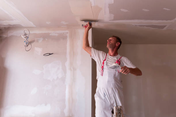 Wallpaper Removal and Painting in Dansville, NY